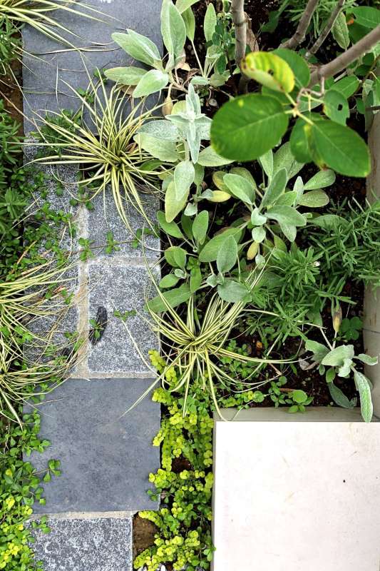 自然石と植栽
